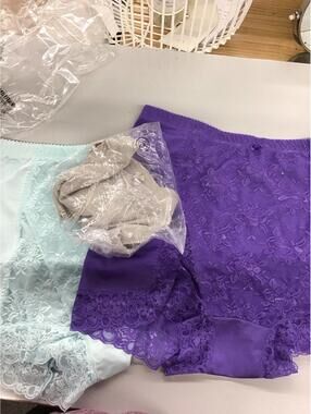 Rhonda shear pin up briefs 3 pack size 2X new HSN ruched high rise lace